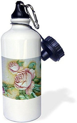 

3dRose 621 ml Water Purifier Bottle(White)