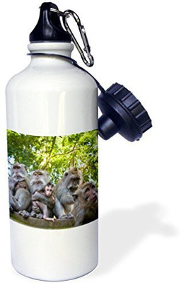 

3dRose 621 ml Water Purifier Bottle(White)