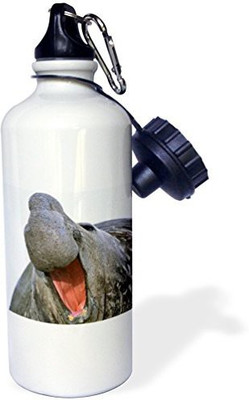 

3dRose 621 ml Water Purifier Bottle(White)