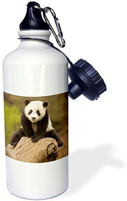 

3dRose 621 ml Water Purifier Bottle(White)