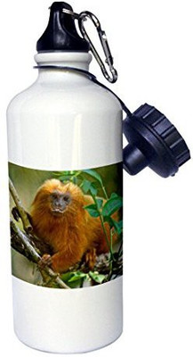 

3dRose 621 ml Water Purifier Bottle(White)