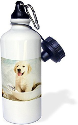 

3dRose 621 ml Water Purifier Bottle(White)