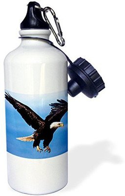 

3dRose 621 ml Water Purifier Bottle(White)