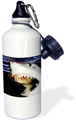 

3dRose 621 ml Water Purifier Bottle(White)