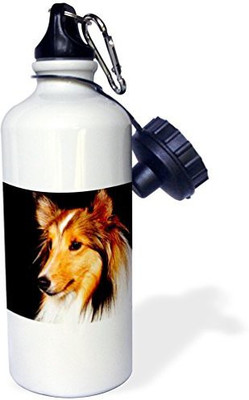 

3dRose 621 ml Water Purifier Bottle(White)