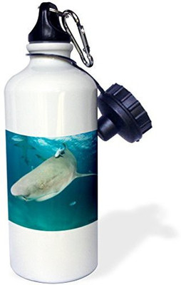 

3dRose 621 ml Water Purifier Bottle(White)