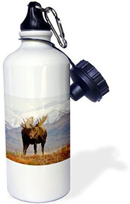 

3dRose 621 ml Water Purifier Bottle(White)