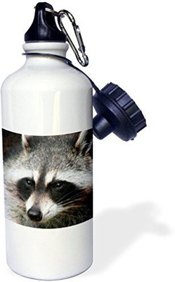 

3dRose 621 ml Water Purifier Bottle(White)