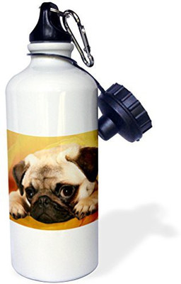 

3dRose 621 ml Water Purifier Bottle(White)