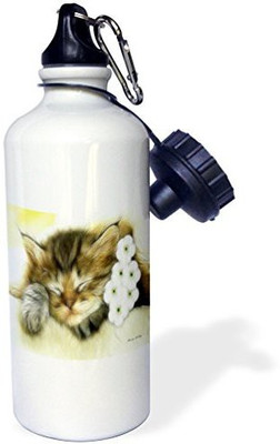 

3dRose 621 ml Water Purifier Bottle(White)