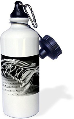 

3dRose 621 ml Water Purifier Bottle(White)