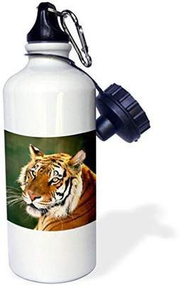 

3dRose 621 ml Water Purifier Bottle(White)