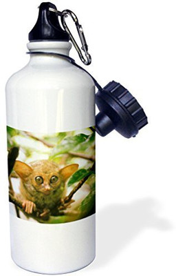 

3dRose 621 ml Water Purifier Bottle(White)