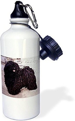 

3dRose 621 ml Water Purifier Bottle(White)