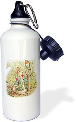 

3dRose 621 ml Water Purifier Bottle(White)