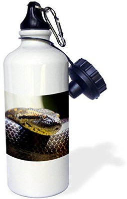 

3dRose 621 ml Water Purifier Bottle(White)
