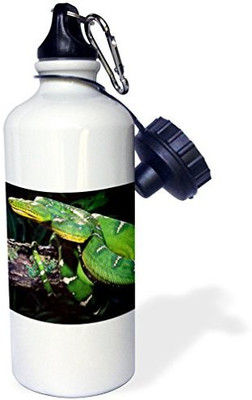 

3dRose 621 ml Water Purifier Bottle(White)