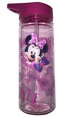 

Disney 591 ml Water Purifier Bottle(Multicolor)