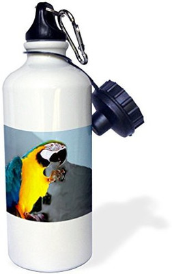 

3dRose 621 ml Water Purifier Bottle(White)