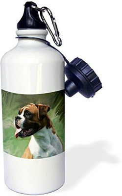 

3dRose 621 ml Water Purifier Bottle(White)