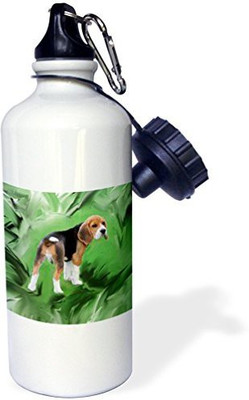 

3dRose 621 ml Water Purifier Bottle(White)