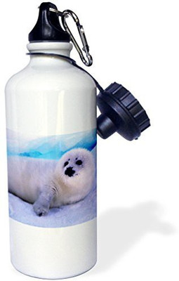 

3dRose 621 ml Water Purifier Bottle(White)