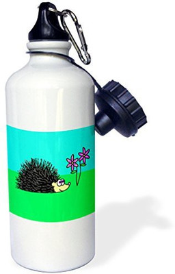 

3dRose 621 ml Water Purifier Bottle(White)