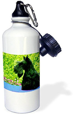 

3dRose 621 ml Water Purifier Bottle(White)