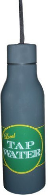 

Homestead International Group 591 ml Water Purifier Bottle(Blue)