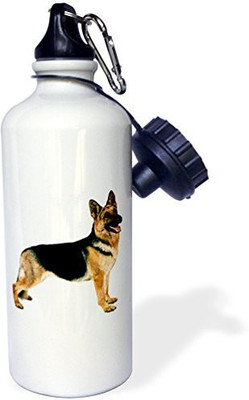 

3dRose 621 ml Water Purifier Bottle(White)