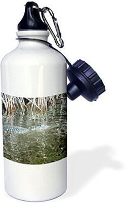 

3dRose 621 ml Water Purifier Bottle(White)