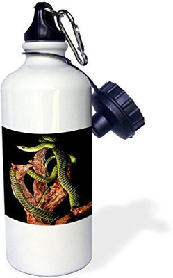 

3dRose 621 ml Water Purifier Bottle(White)