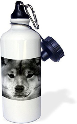 

3dRose 621 ml Water Purifier Bottle(White)