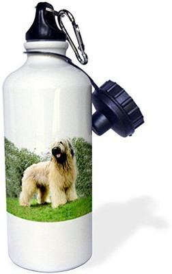 

3dRose 621 ml Water Purifier Bottle(White)