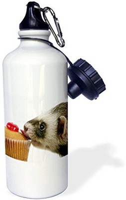 

3dRose 621 ml Water Purifier Bottle(White)