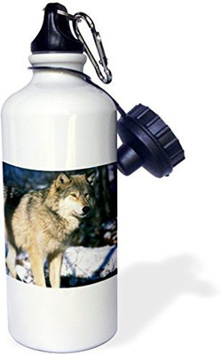 

3dRose 621 ml Water Purifier Bottle(White)