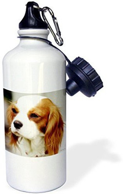 

3dRose 621 ml Water Purifier Bottle(White)