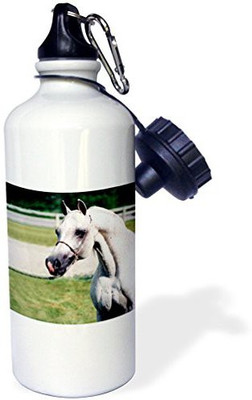 

3dRose 621 ml Water Purifier Bottle(White)