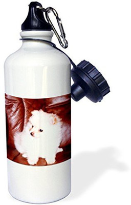 

3dRose 621 ml Water Purifier Bottle(White)