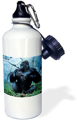 

3dRose 621 ml Water Purifier Bottle(White)