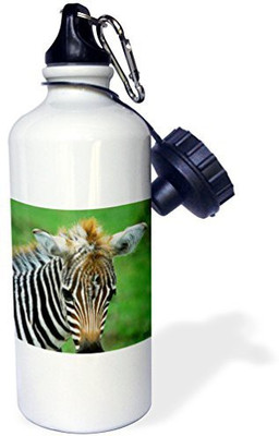 

3dRose 621 ml Water Purifier Bottle(White)