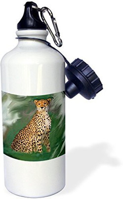 

3dRose 621 ml Water Purifier Bottle(White)