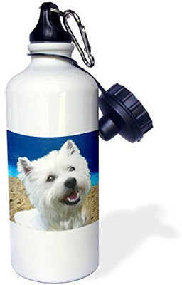 

3dRose 621 ml Water Purifier Bottle(White)