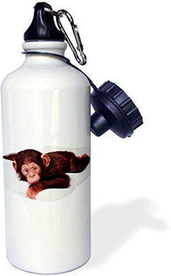 

3dRose 621 ml Water Purifier Bottle(White)