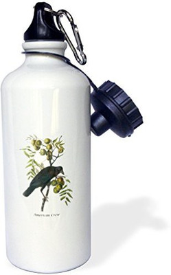 

3dRose 621 ml Water Purifier Bottle(White)