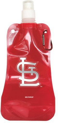 

Boelter 473 ml Water Purifier Bottle(Red)