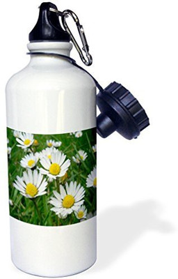 

3dRose 621 ml Water Purifier Bottle(White)