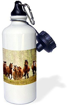 

3dRose 621 ml Water Purifier Bottle(White)