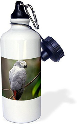 

3dRose 621 ml Water Purifier Bottle(White)