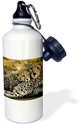 

3dRose 621 ml Water Purifier Bottle(White)
